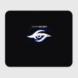 Прямоугольный коврик для мышки Команда Team Secret