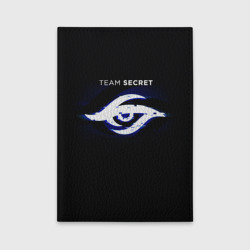 Обложка для автодокументов Команда Team Secret