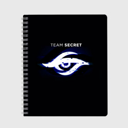 Тетрадь Команда Team Secret