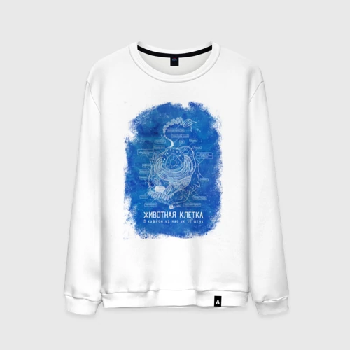 Животная клетка в разрезе