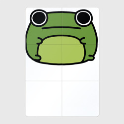 Магнитный плакат 2Х3 Frog Lucky