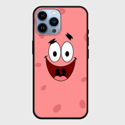 Чехол для iPhone 14 Pro Max Патрик пара