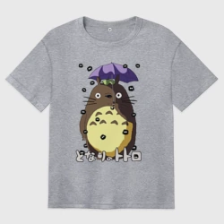 Женская футболка хлопок Oversize Watari rain