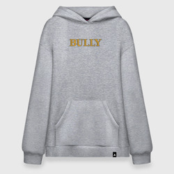 Худи SuperOversize хлопок Bully big logo