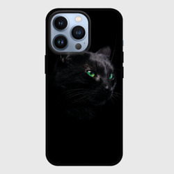 Чехол для iPhone 13 Pro Черна кошка с изумрудными глазами