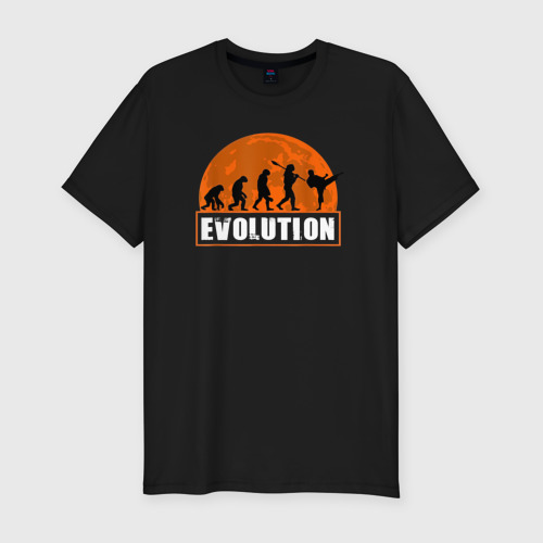 Мужская футболка хлопок Slim Карате эволюция, цвет черный