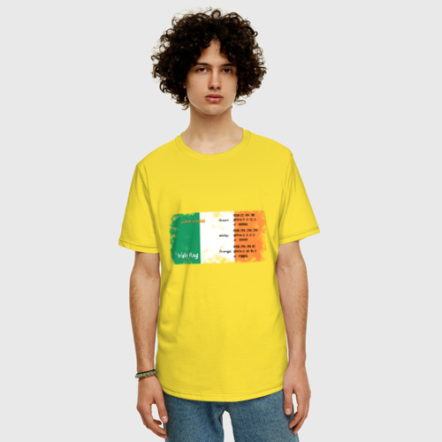 Мужская футболка хлопок Oversize с принтом Для графики: флаг Ирландии, фото на моделе #1