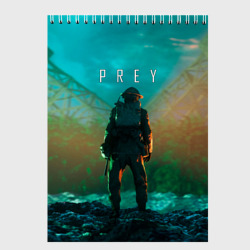 Скетчбук Prey  planet