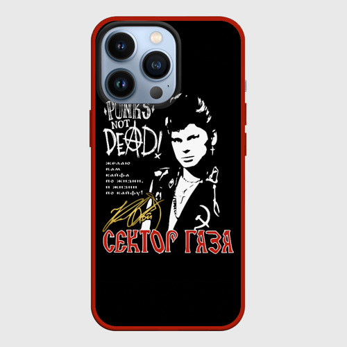 Чехол для iPhone 13 Pro Сектор Газа Punk's Not Dead, цвет красный