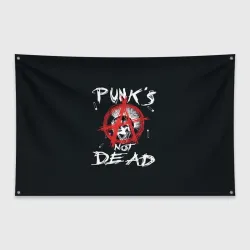 Флаг-баннер Punk's Not Dead Анархия