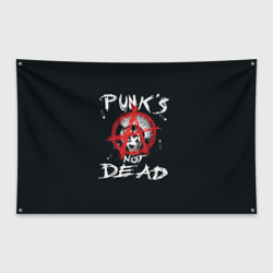 Флаг-баннер Punk's Not Dead Анархия
