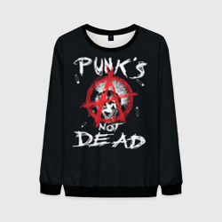 Мужской свитшот 3D Punk's Not Dead Анархия