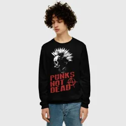 Мужской свитшот 3D Punk's Not Dead Панк - фото 2