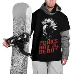 Накидка на куртку 3D Punk's Not Dead Панк