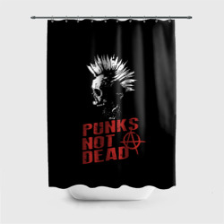 Штора 3D для ванной Punk's Not Dead Панк