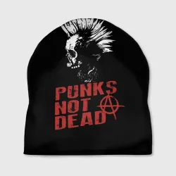 Шапка 3D Punk's Not Dead Панк