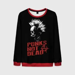 Мужской свитшот 3D Punk's Not Dead Панк