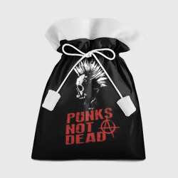 Подарочный 3D мешок Punk's Not Dead Панк