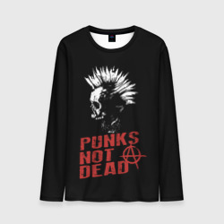 Мужской лонгслив 3D Punk's Not Dead Панк