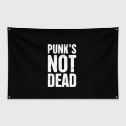 Флаг-баннер Punk's not dead Панки Живы