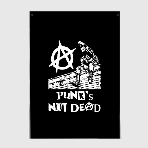 Постер Анархист Панк