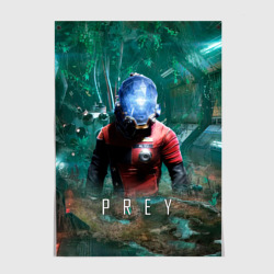 Постер Prey game