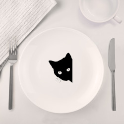 Набор: тарелка + кружка Всё тот же чёрный котяра! - фото 2