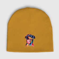 Детская шапка демисезонная Color rottweiler