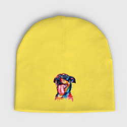 Детская шапка демисезонная Color rottweiler