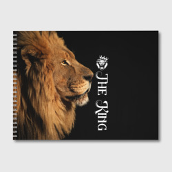 Альбом для рисования Лев король lion king