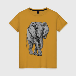 Женская футболка хлопок Огромный могучий слон