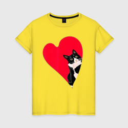 Женская футболка хлопок Кот в валентинке