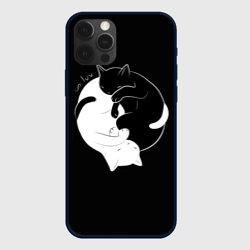 Чехол для iPhone 12 Pro Max Бесконечная любовь Endless kitty love
