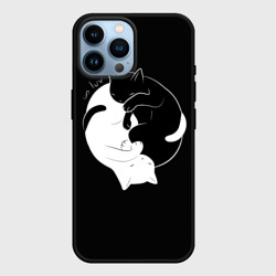 Чехол для iPhone 14 Pro Max Бесконечная любовь Endless kitty love