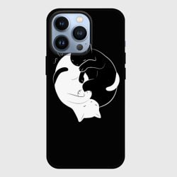 Чехол для iPhone 13 Pro Бесконечная любовь Endless kitty love