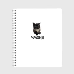 Тетрадь Кот чмоня мем