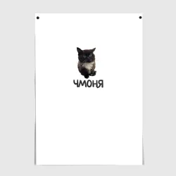 Постер Кот чмоня мем