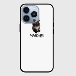 Чехол для iPhone 13 Pro Кот чмоня мем
