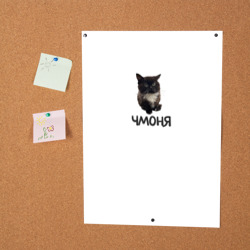 Постер Кот чмоня - фото 2