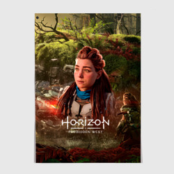 Постер Horizon forbidden west  Aloy