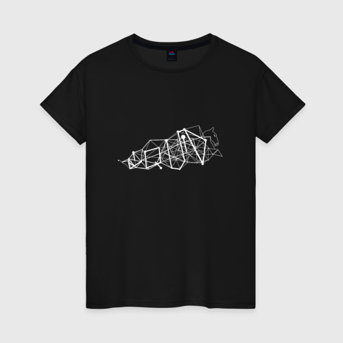 Женская футболка хлопок Liquid Graphics 2022-23, цвет черный