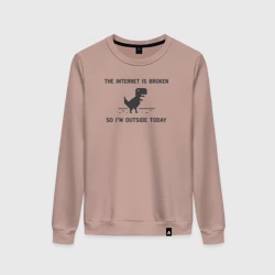 Женский свитшот хлопок Интернет сломан. Итак, я сегодня на улице