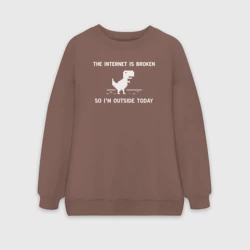 Женский свитшот oversize без начеса хлопок Интернет сломан. Поэтому я сегодня на улице