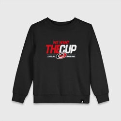 Детский свитшот хлопок Carolina Hurricanes we want the cup Каролина Харрикейнз