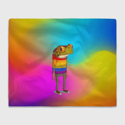 Плед 3D Радужная лягушка Rainbow Frog