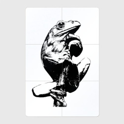 Магнитный плакат 2Х3 Black Frog