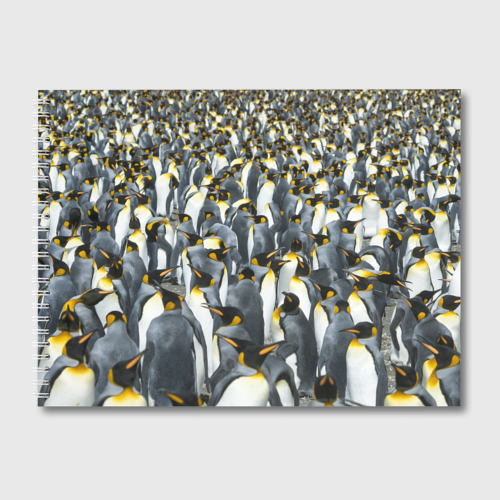 Альбом для рисования Пингвины Penguins