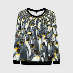 Мужской свитшот 3D Пингвины Penguins