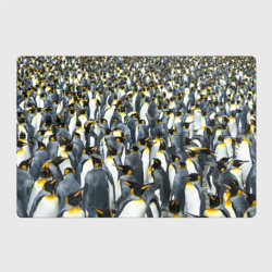 Магнитный плакат 3Х2 Пингвины Penguins