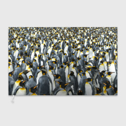 Флаг 3D Пингвины Penguins